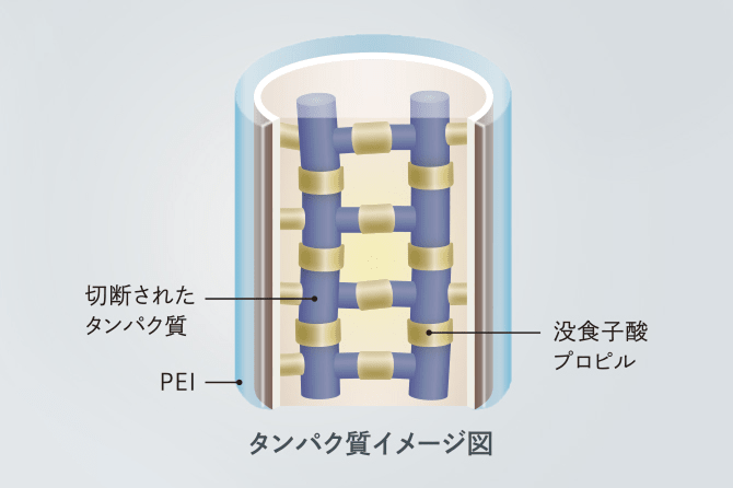 タンパク質イメージ図