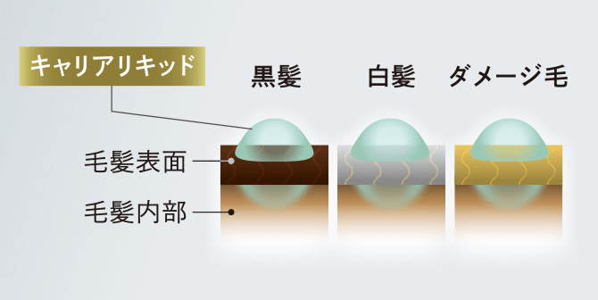 キャリアリキッド処方イメージ図
